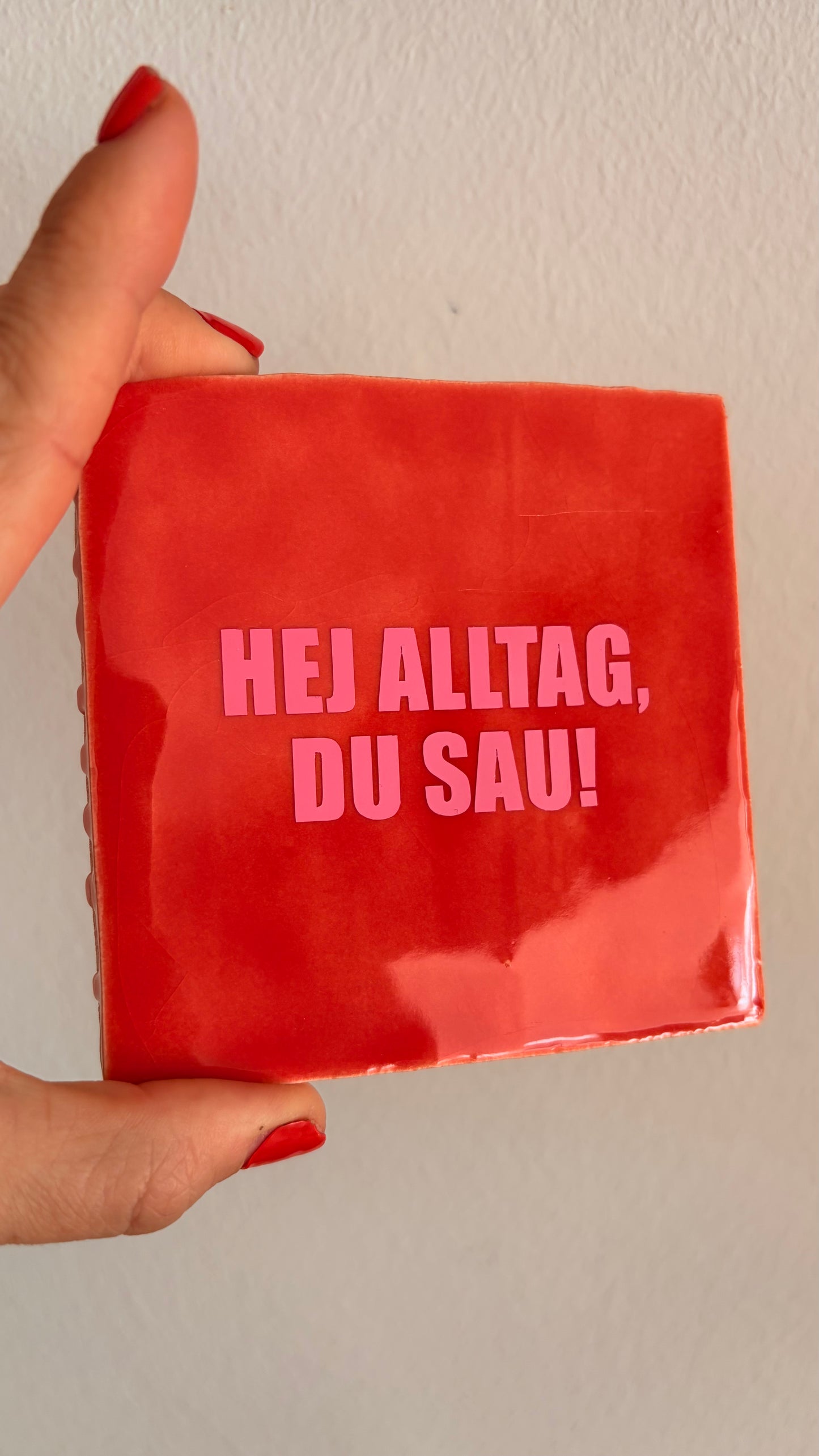 HEJ ALLTAG, DU SAU.