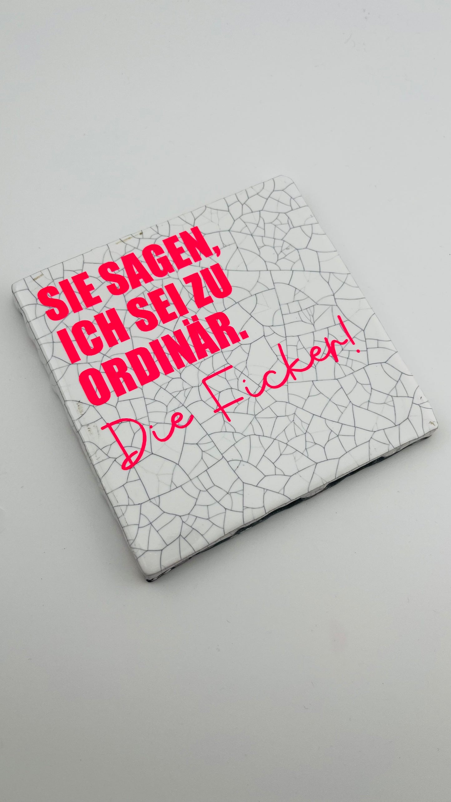 SIE SAGEN, ICH SEI ZU ORDINÄR. DIE FICKER!