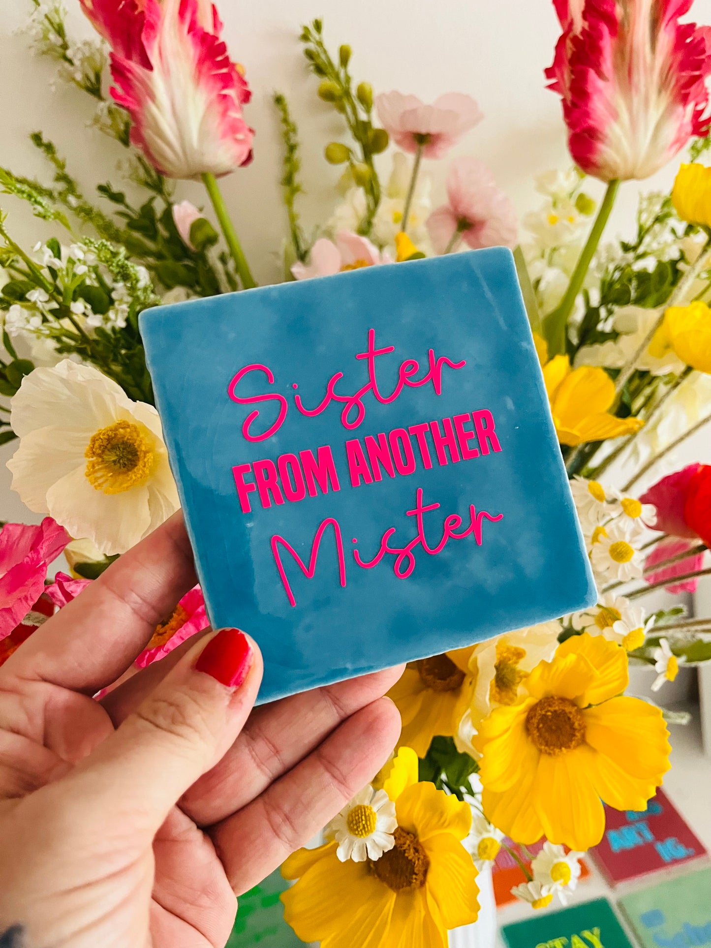 SISTER FROM ANOTHER MISTER