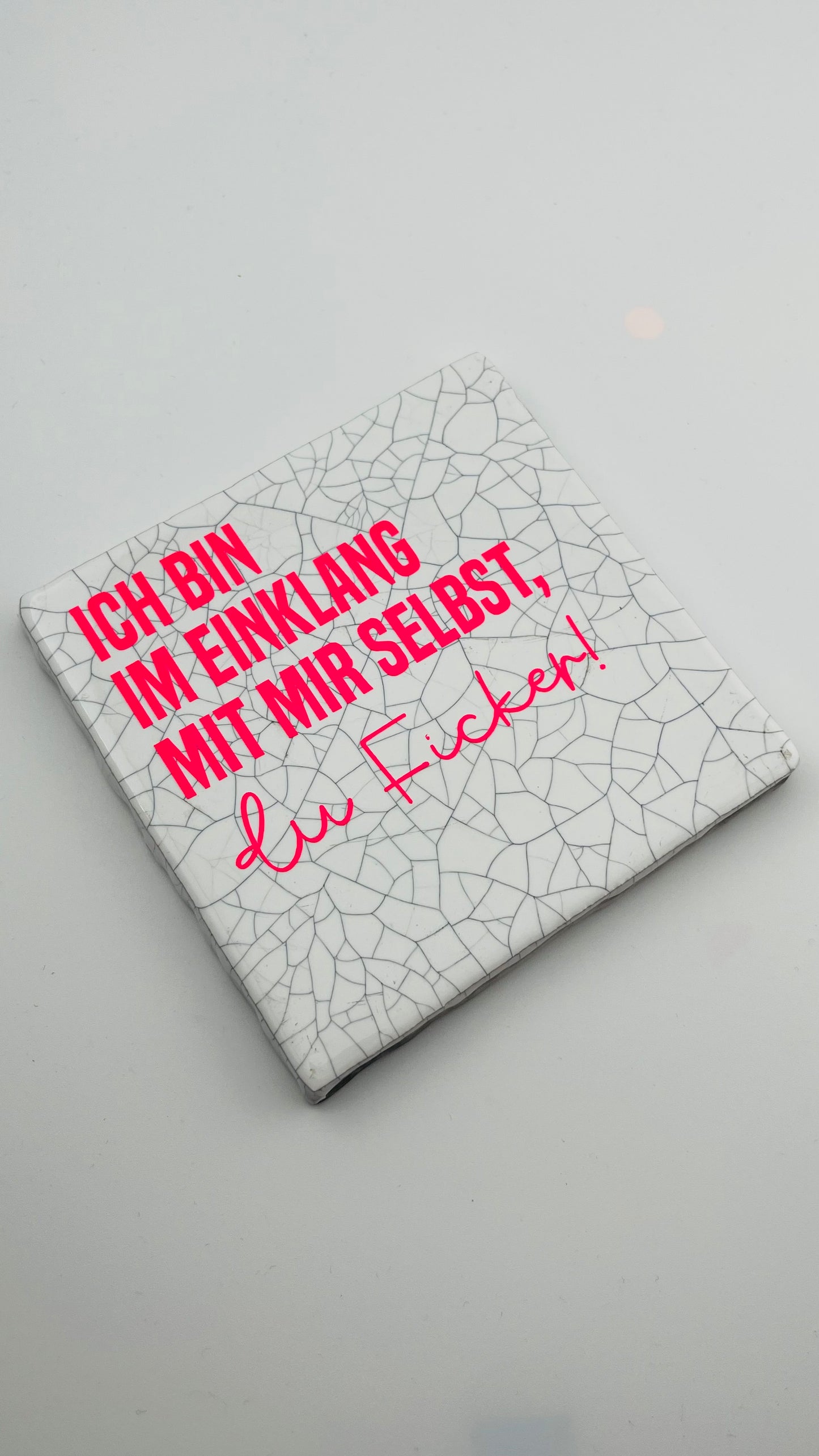 ICH BIN IM EINKLANG MIT MIR SELBST, DU FICKER