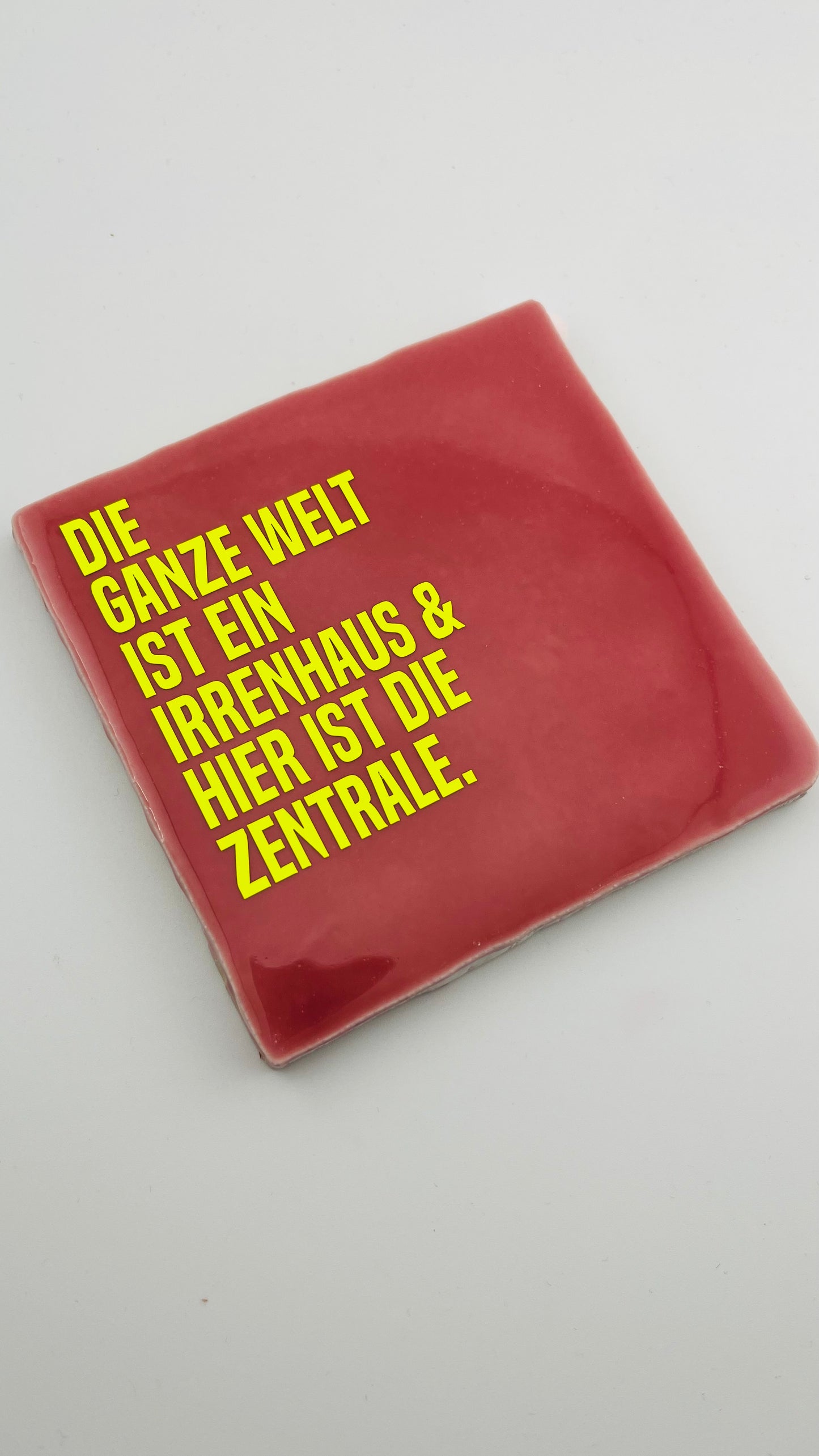 DIE GANZE WELT IST EIN IRRENHAUS...