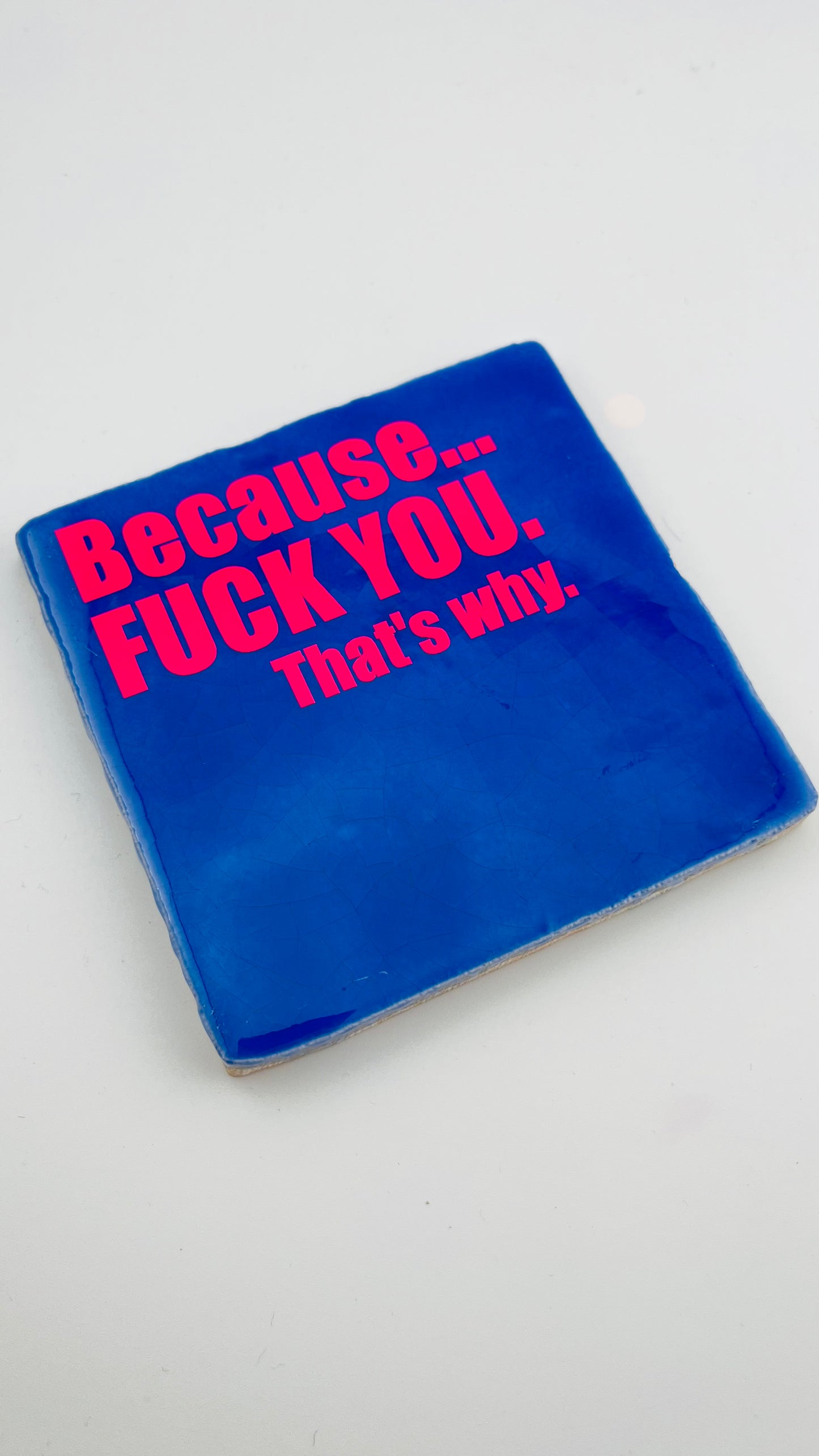 BECAUSE FUCK YOU...
