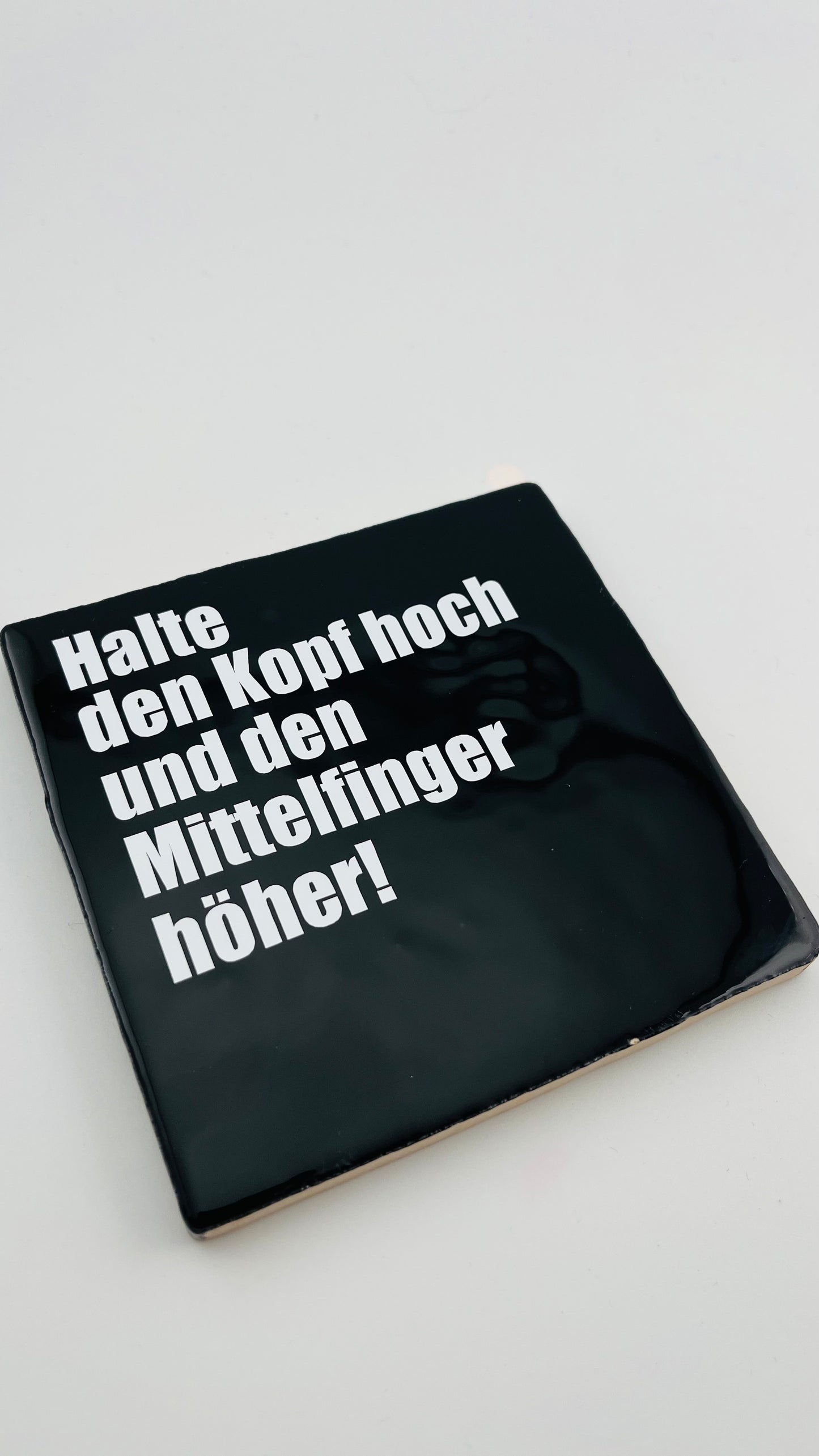 HALTE DEN KOPF HOCH UND DEN MITTELFINGER HÖHER