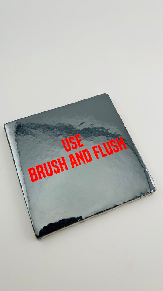 USE BRUSH AND FLUSH