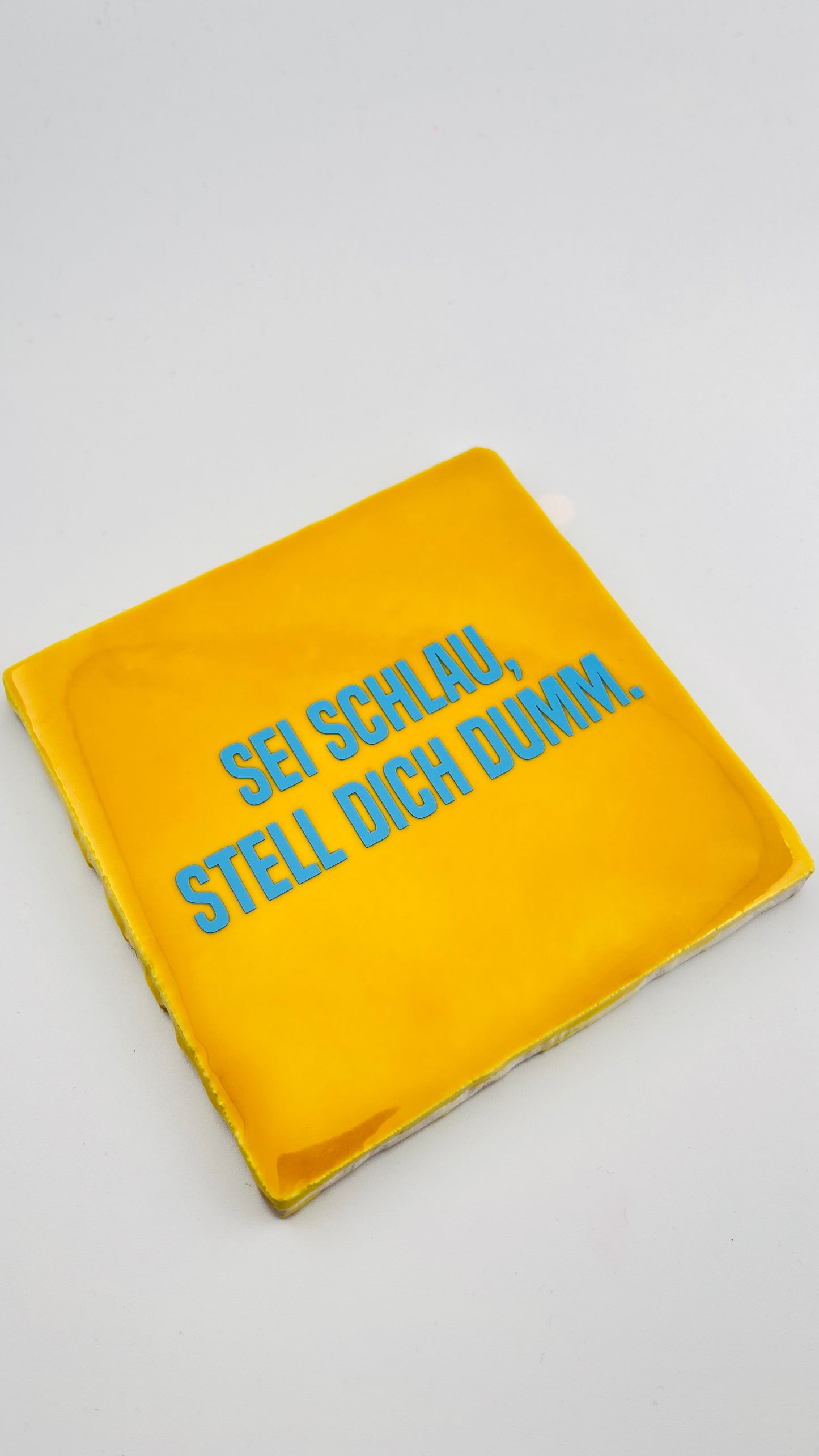 SEI SCHLAU, STELL DICH DUMM