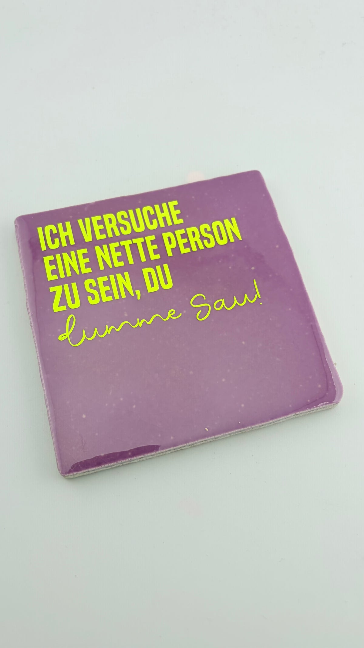 ICH VERSUCHE EINE NETTE PERSON ZU SEIN, DU DUMME SAU!