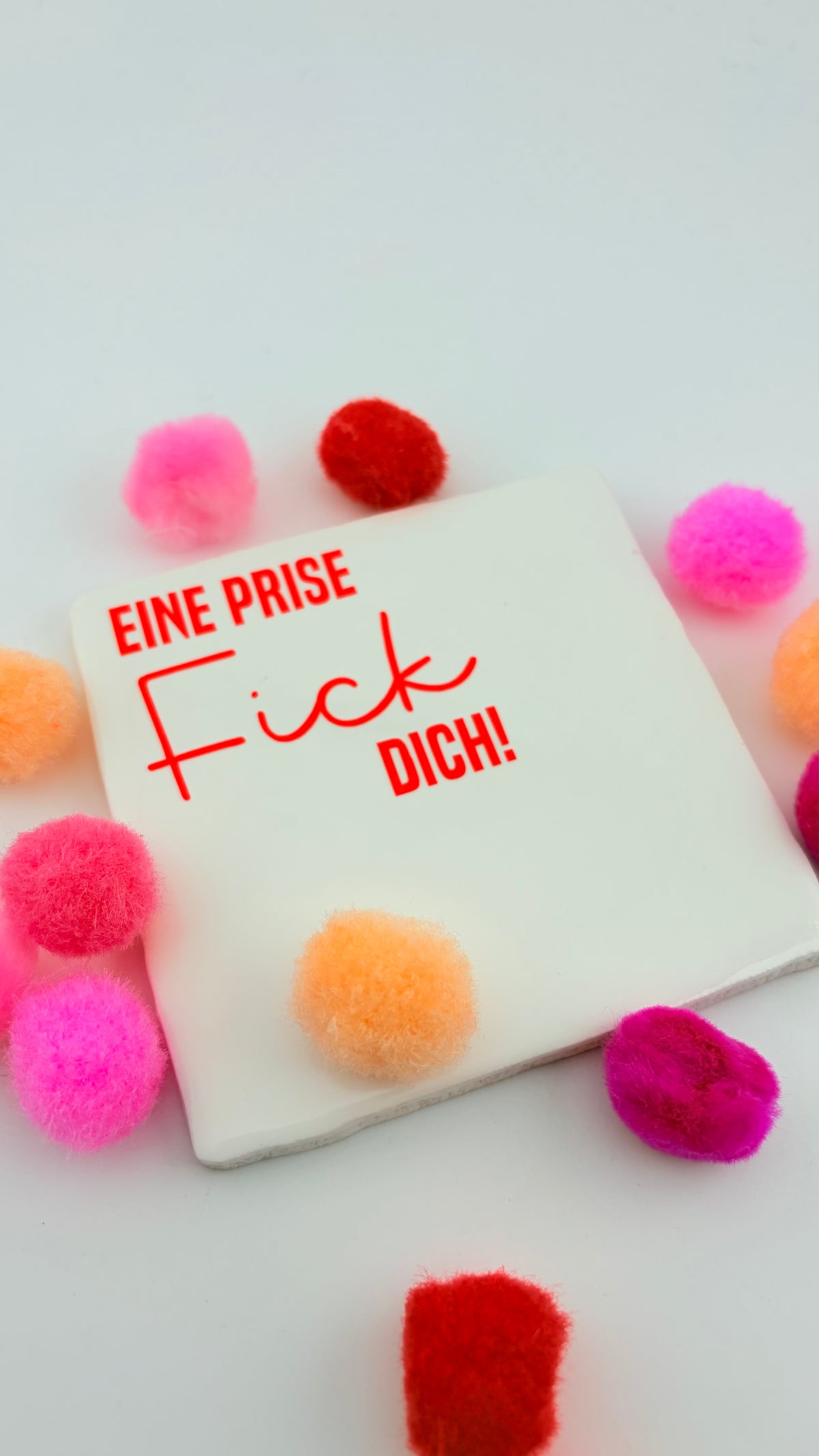EINE PRISE FICK DICH