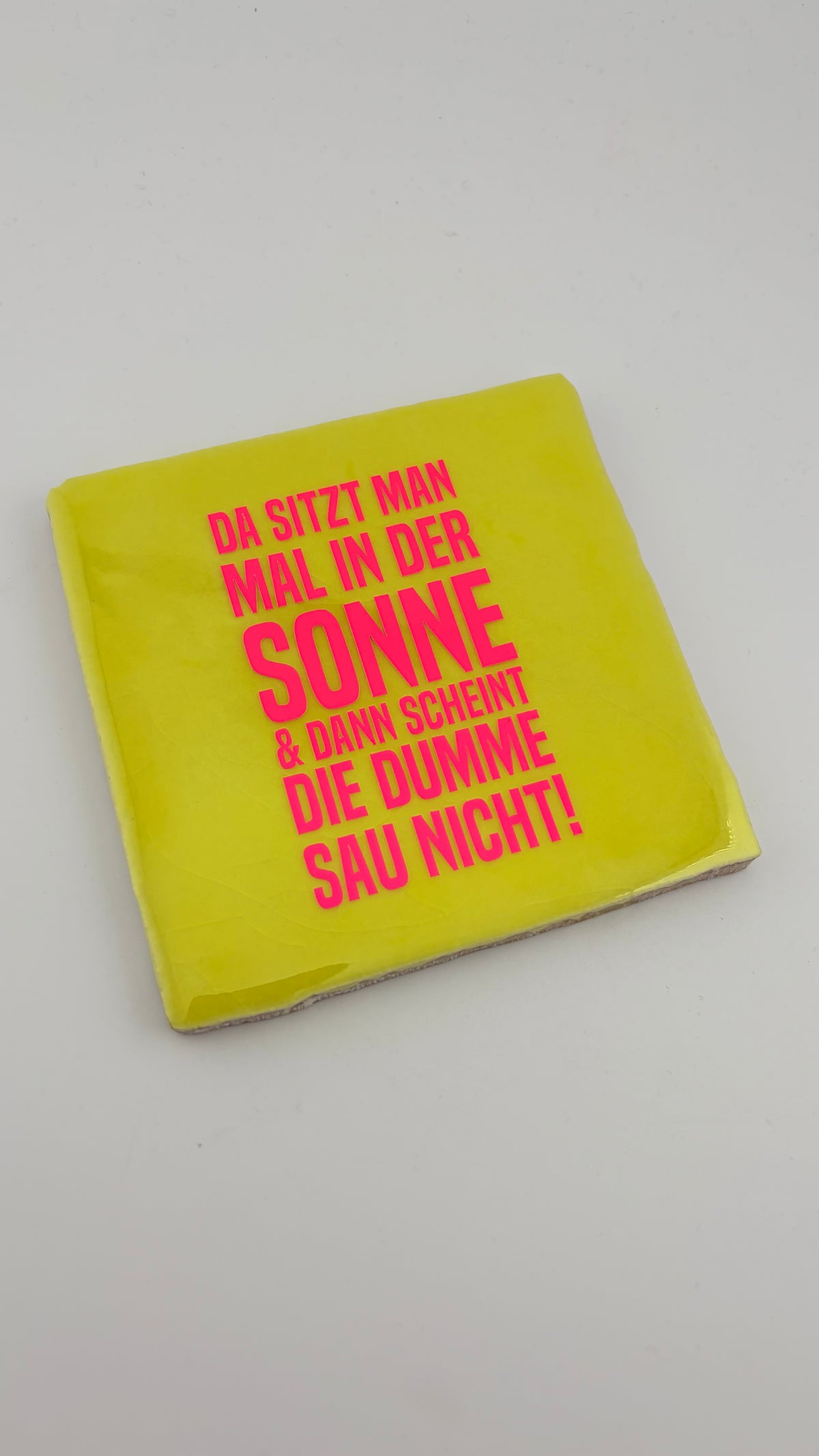DA SITZT MAN MAL IN DER SONNE & DANN SCHEINT DIE DUMME SAU NICHT!