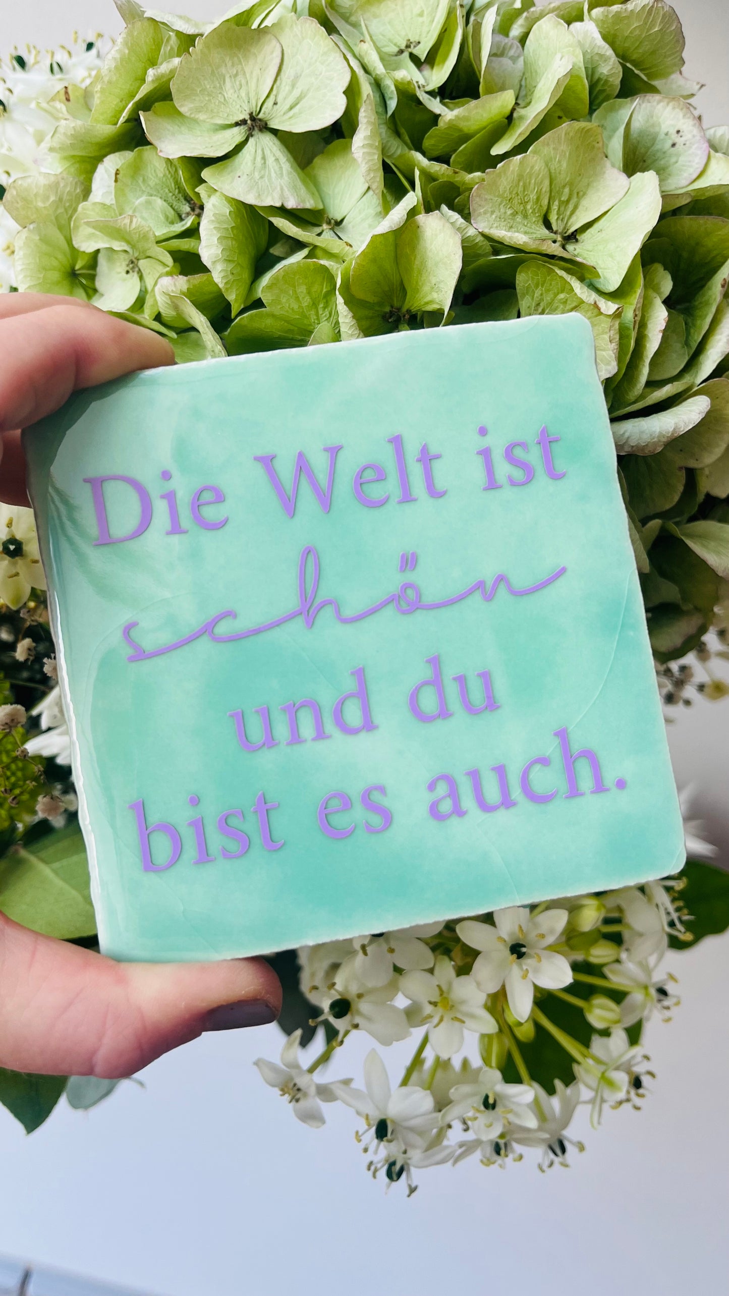 DIE WELT IST SCHÖN UND DU BIST ES AUCH