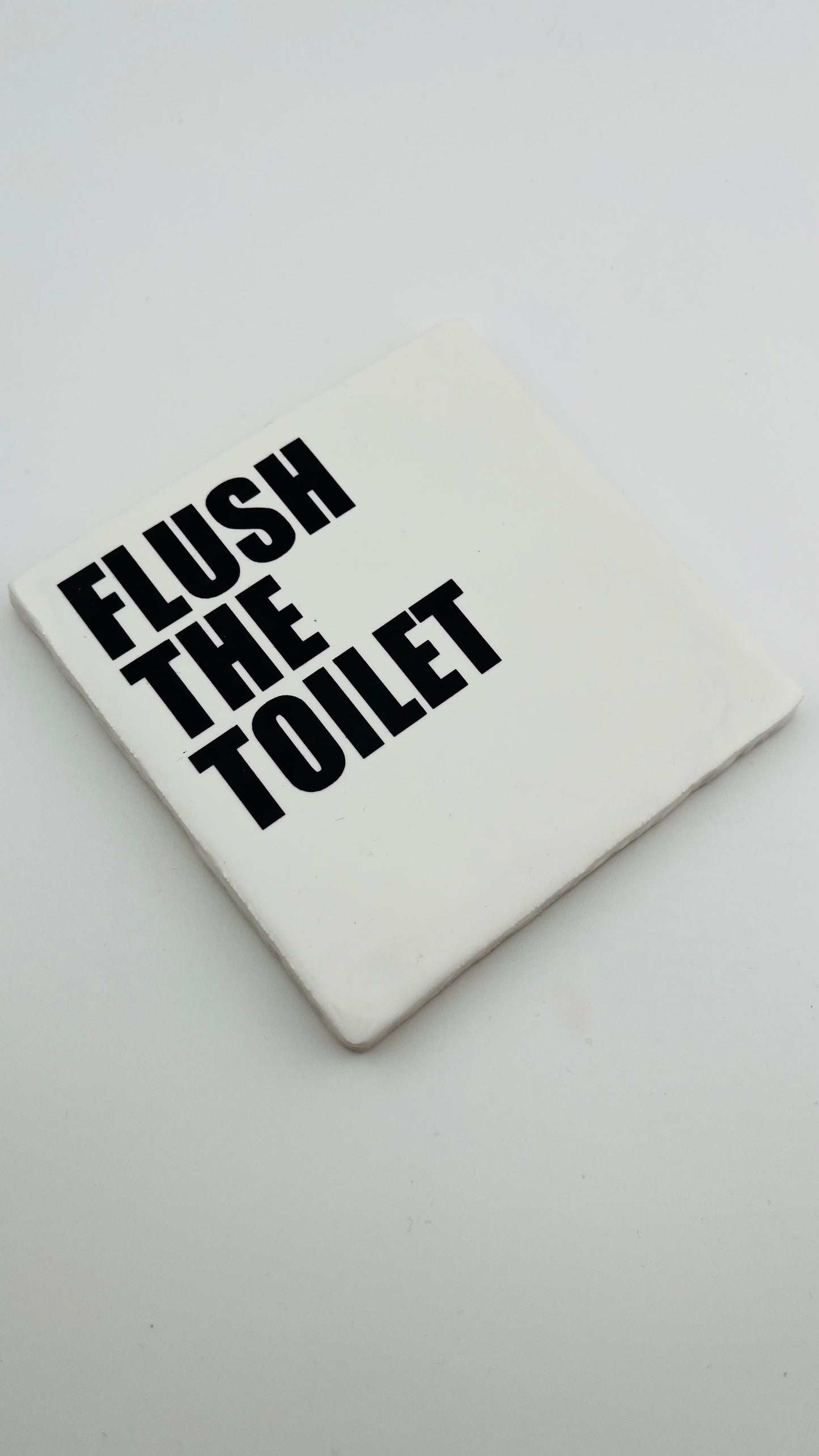 FLUSH THE TOILET
